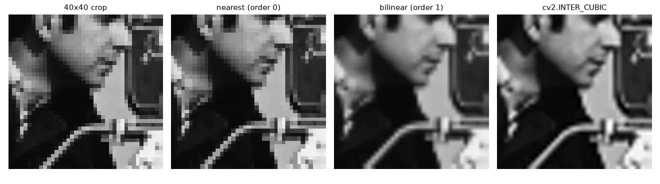 Nearest neighbour keeps the pixel grid visible; bilinear is smooth but soft; bicubic (16 neighbours) is a little sharper.