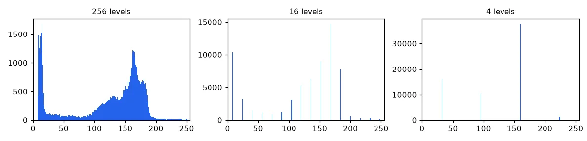 After quantization the histogram collapses into $N$ spikes: the image literally has $N$ different values left.